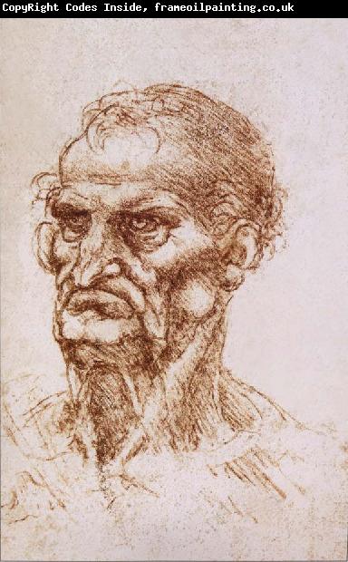 LEONARDO da Vinci Study of an old man